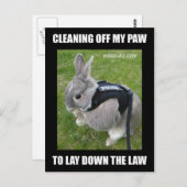 Miss Bunz Cleaning Paw Briefkaart (Voorkant / Achterkant)