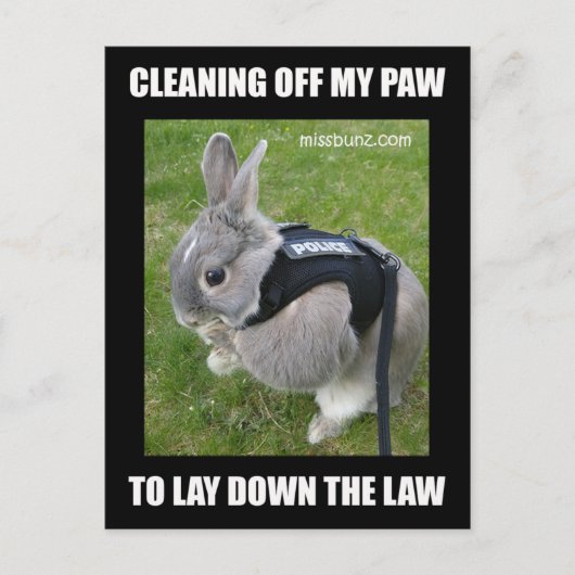 Miss Bunz Cleaning Paw Briefkaart (Voorkant)