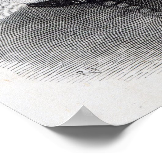 Miss Charlotte Robinson Poster (Hoek)