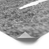 Miss Columbia en Lady Liberty: 1919 Poster (Hoek)