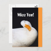 Miss. Cute White Duck Briefkaart (Voorkant / Achterkant)