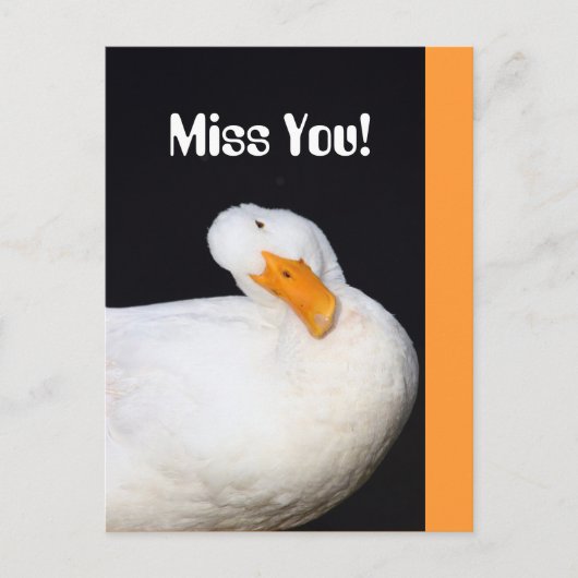 Miss. Cute White Duck Briefkaart (Voorkant)