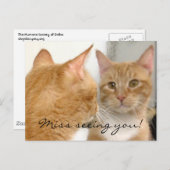 Miss die je ziet. Briefkaart (Voorkant / Achterkant)