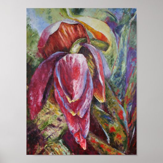 Miss Dominica Poster (Voorkant)