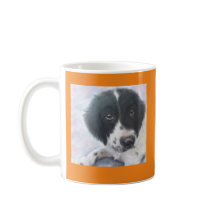 Miss Fannie - Engelse Springer Spaniel Cup