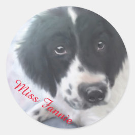 Miss Fannie - Engelse Springer Spaniel Sticker