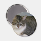 Miss Hannah Magneet (Voorkant / Achterkant)