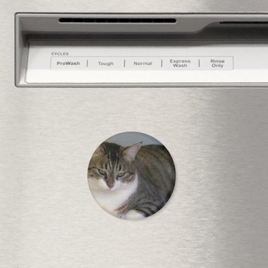 Miss Hannah Magneet (Insitu (Vaatwasser))