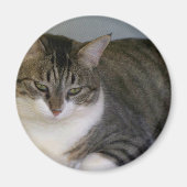 Miss Hannah Magneet (Voorkant)