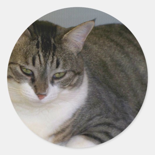 Miss Hannah Ronde Sticker (Voorkant)