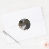 Miss Hannah Ronde Sticker (Envelop)