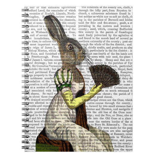 Miss Hare Notitieboek (Voorkant)