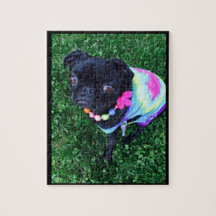 Miss Harley Pug Puzzle Legpuzzel