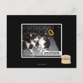 Miss Innocent Briefkaart (Voorkant)