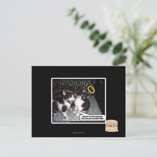 Miss Innocent Briefkaart (Staand voorkant)