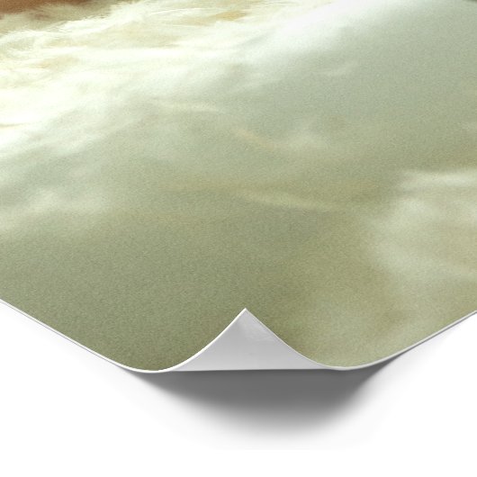 Miss Jackson Exclusive Poster (Hoek)