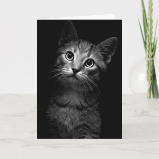 MISS JE, HOU VAN JE-MIAUW KAART (Voorkant)