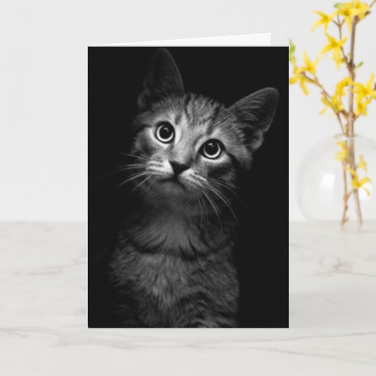 MISS JE, HOU VAN JE-MIAUW KAART (Gele Bloem)