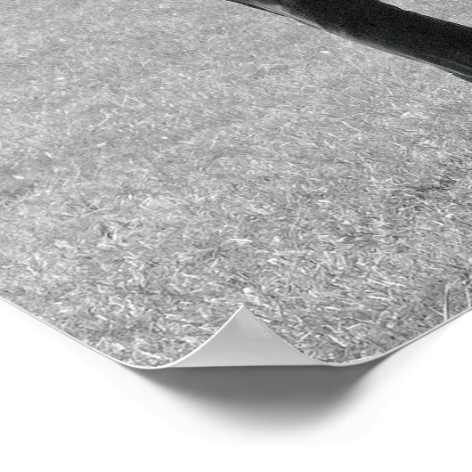 Miss Jubilee en het Poster van de Humdingers (Hoek)