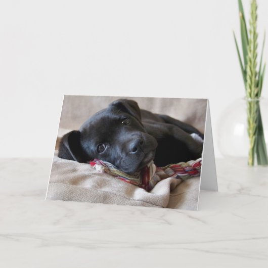 Miss. Kaart (Voorkant)