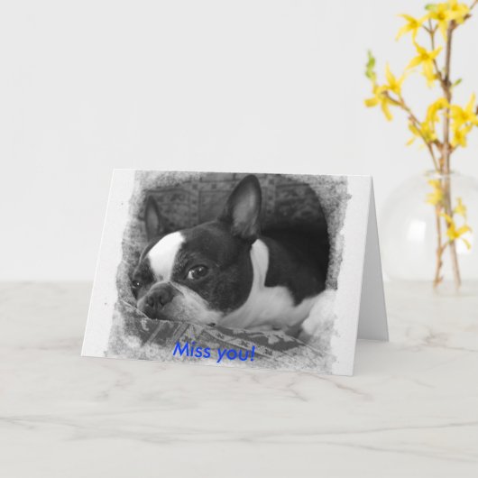 Miss. Kaart (Gele Bloem)