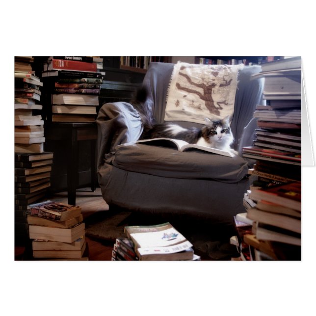 Miss Kat Book Collectie (Voorkant Horizontaal)