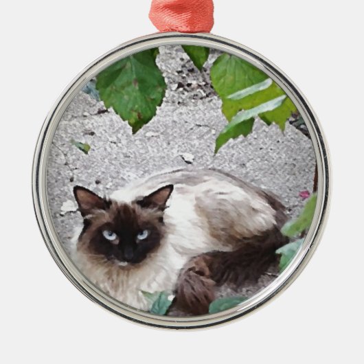 Miss Kat Digital Painting Metalen Ornament (Voorkant)