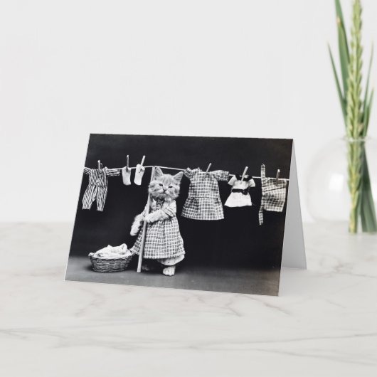 Miss Kitten doet de was Kaart (Voorkant)