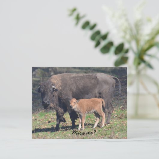 Miss me briefkaart (Staand voorkant)