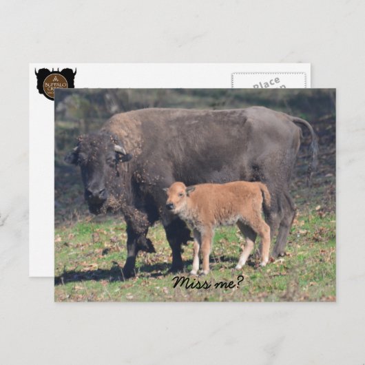 Miss me briefkaart (Voorkant / Achterkant)