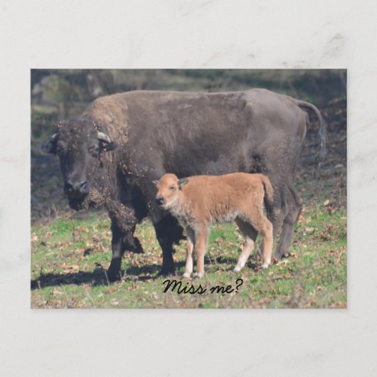 Miss me briefkaart (Voorkant)