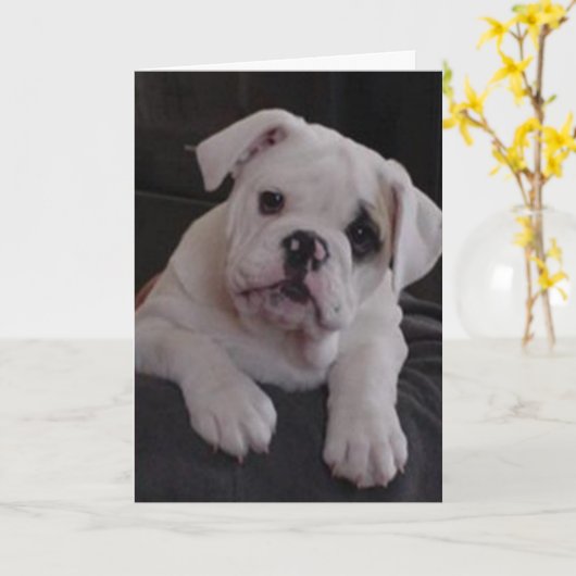 Miss Nala Kaart (Gele Bloem)