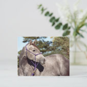 Miss Peppy Shu Briefkaart (Staand voorkant)