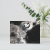 "Miss Precious" Briefkaart (Staand voorkant)