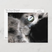 "Miss Precious" Briefkaart (Voorkant / Achterkant)