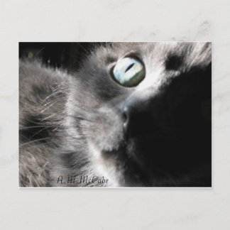 "Miss Precious" Briefkaart