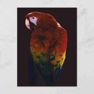 Miss Scarlett Briefkaart