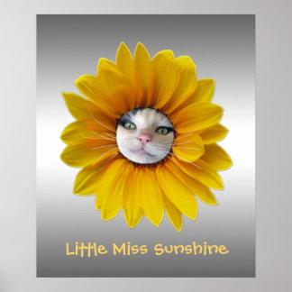 Miss Sunshine glimlachende kat Poster