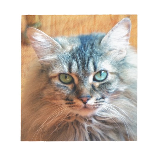 Miss Tootles Notitieblok (Voorkant)