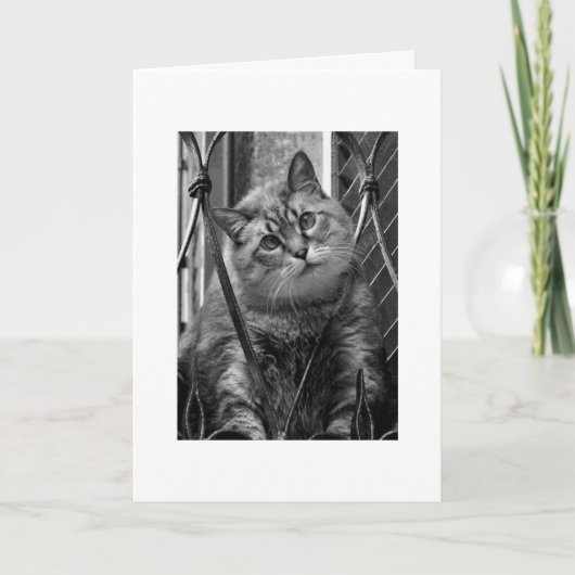 Miss U Kaart (Voorkant)