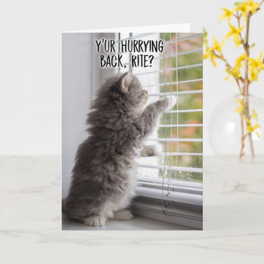 Miss U Katten Miss You Kaart (Gele Bloem)