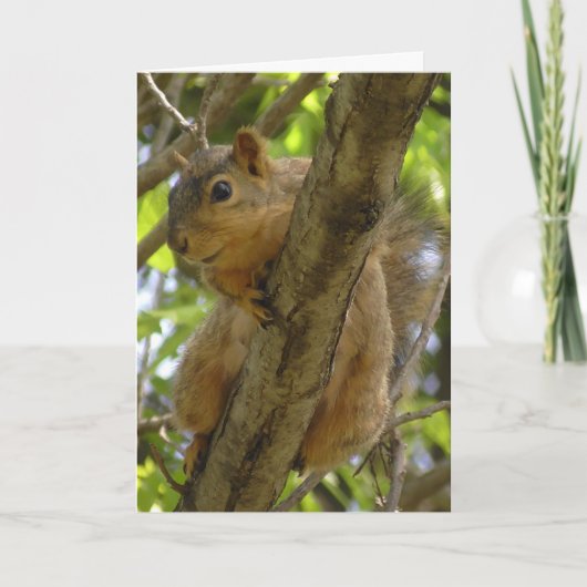 Miss U, laten we snel uit de eekhoorn hangen Kaart (Voorkant)