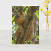 Miss U, laten we snel uit de eekhoorn hangen Kaart (Gele Bloem)