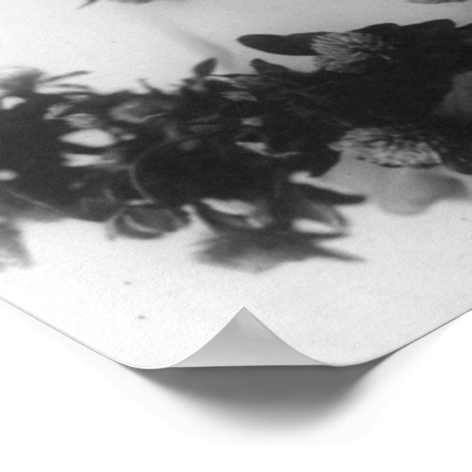 Miss Whitlock Poster (Hoek)