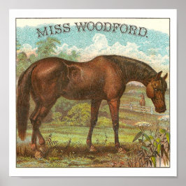 Miss Woodford beroemd Amerikaans Racehorse Poster
