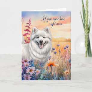 Miss You American Eskimo Dog Wildflower Meadow Kaart