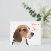 Miss You Beagle Puppy Dog Greeting Briefkaart (Staand voorkant)
