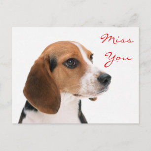 Miss You Beagle Puppy Dog Greeting Briefkaart