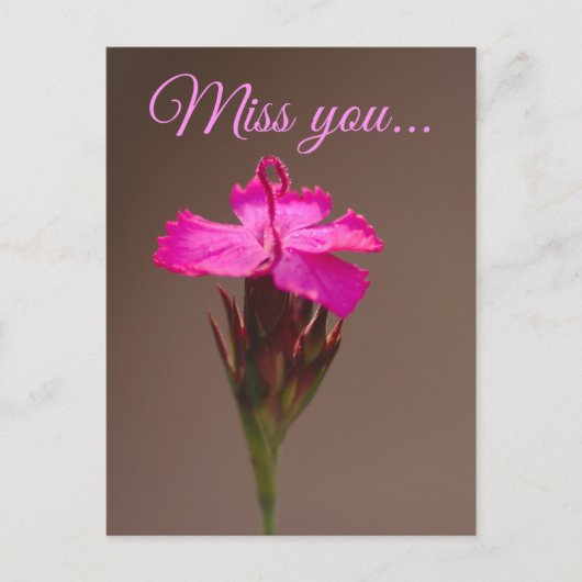 Miss you... briefkaart (Voorkant)