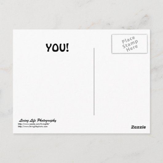 Miss You Briefkaart (Achterkant)